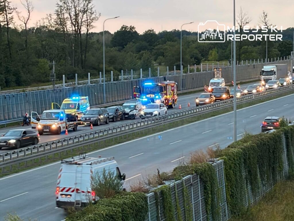Na drodze zatrzymane pojazdy, w tym karetka i samochód straży pożarnej, podczas akcji ratunkowej.