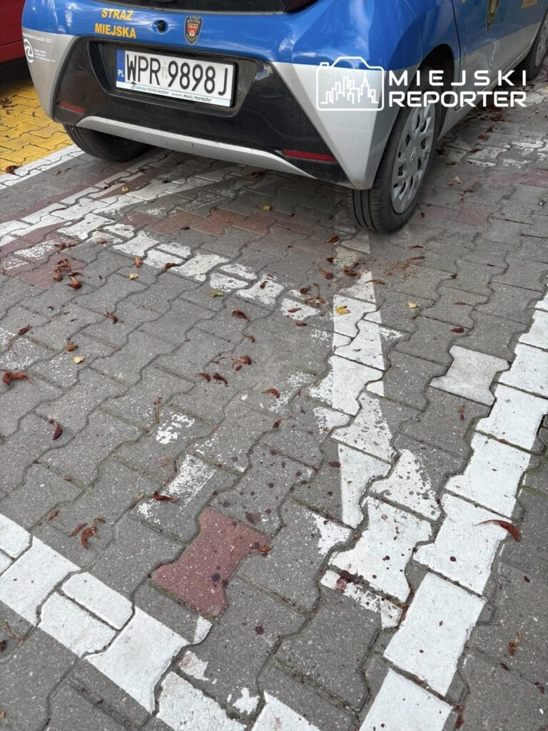 Na parkingu widać samochód służbowy straży miejskiej z numerem rejestracyjnym WPR 9898J, zaparkowany na wyraźnie oznakowanym miejscu.