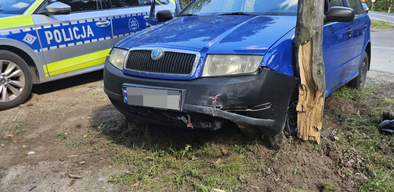 Niebieski samochód osobowy wjeżdża w drzewo, obok stoi radiowóz policyjny.