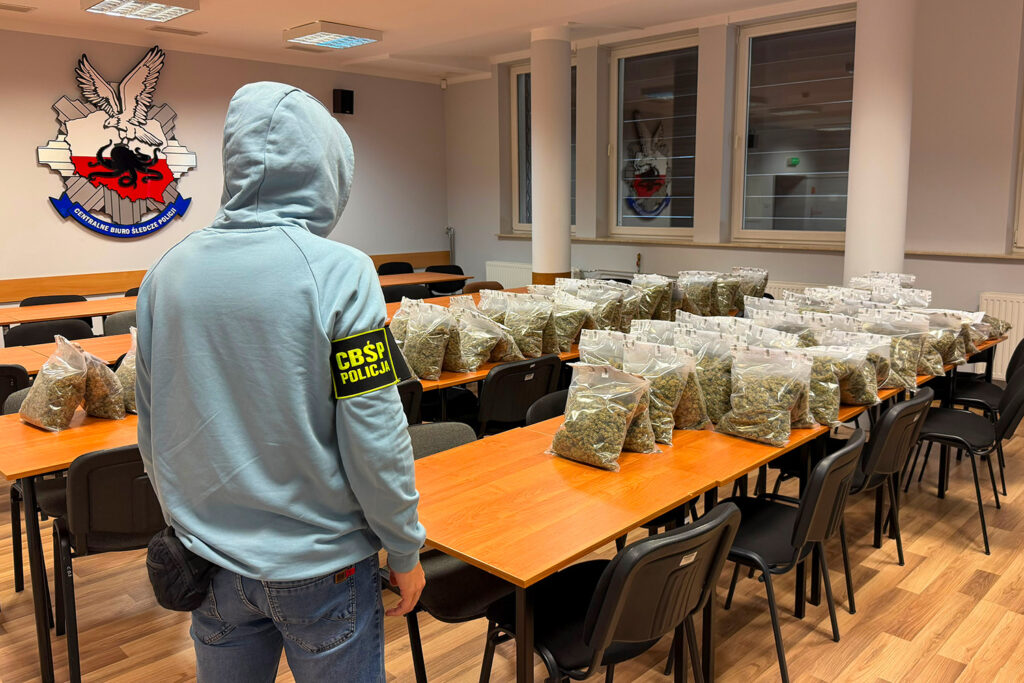 Mężczyzna w bluzie z kapturem i opaską "CBŚP POLICJA" stoi przy stole, obok którego znajdują się torby z substancją roślinną.