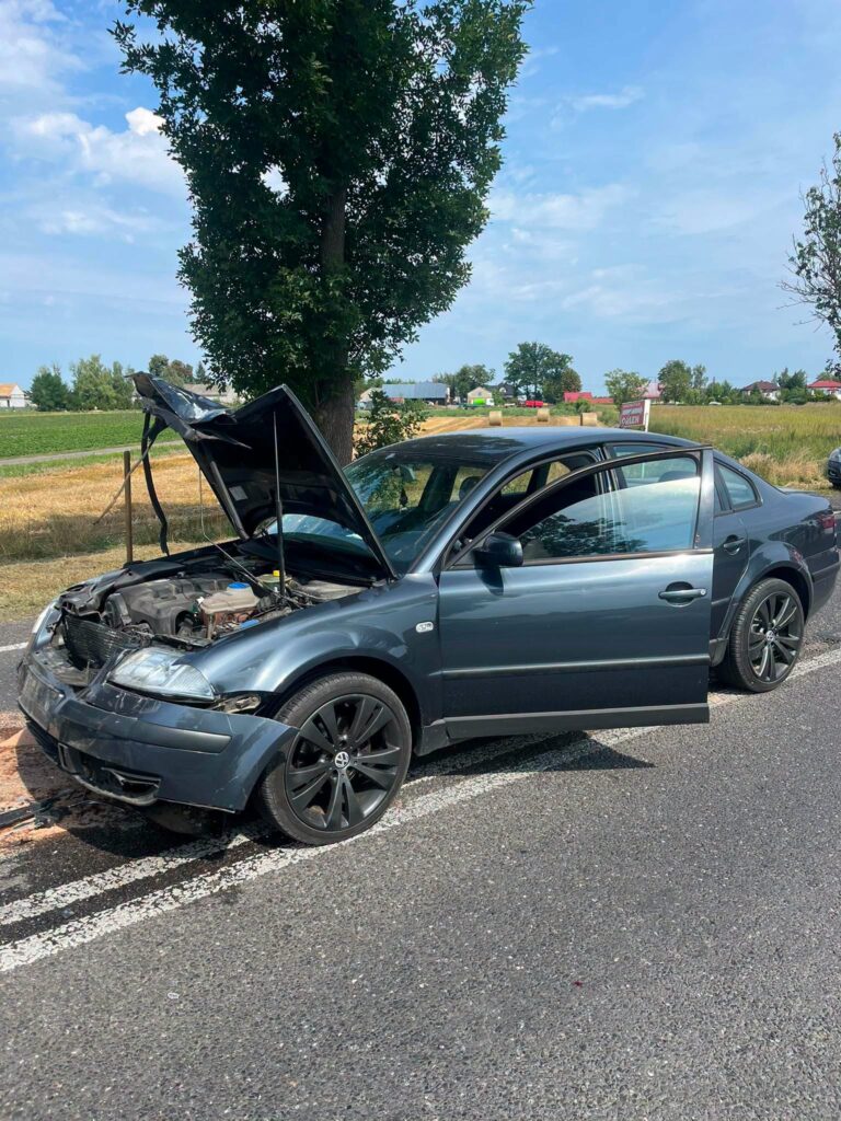 Uszkodzony samochód osobowy z otwartą maską stoi na poboczu drogi, w tle pola i drzewa.