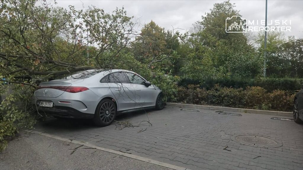 Srebrny samochód osobowy z uszkodzeniami, częściowo zasłonięty przez opadłe gałęzie drzewa na parkingu.