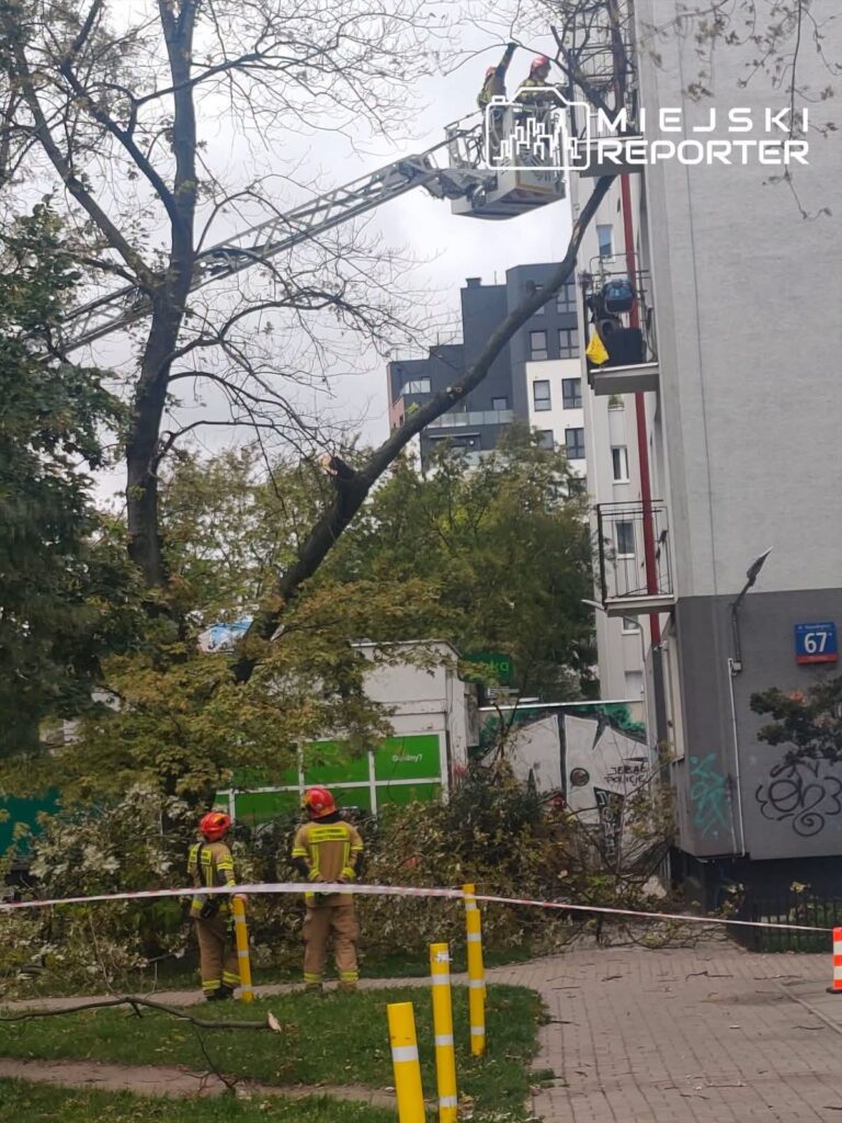 Strażacy w hełmach usuwają gałęzie z drzewa przy użyciu podnośnika, obok budynku mieszkalnego.