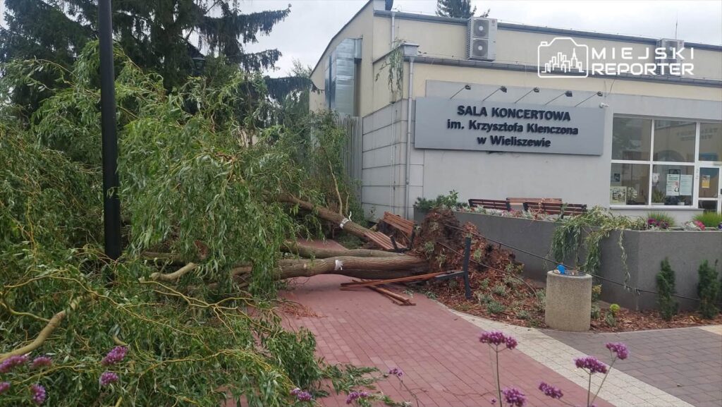 Złamane drzewa leżą na chodniku przed salą koncertową, zniszczone przez silny wiatr, w tle widać budynek z logo.