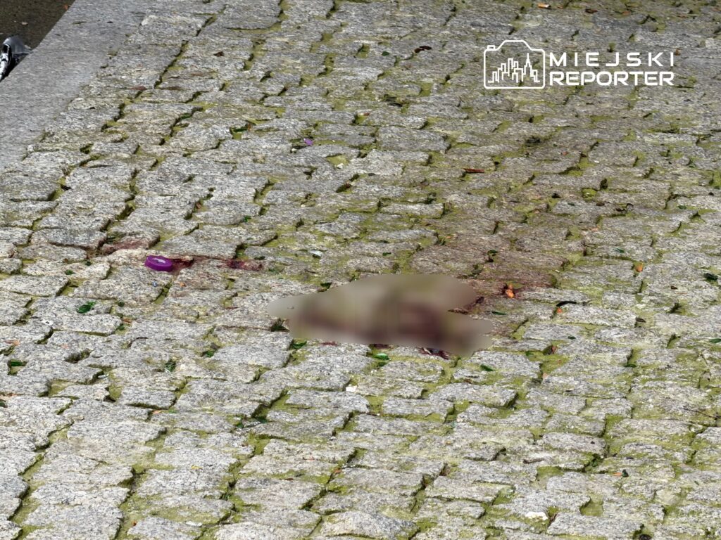 Na chodniku z kostki brukowej znajduje się plama krwi oraz obiekt w nieokreślonym stanie.