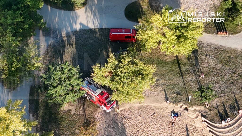 Czerwony wóz strażacki i ambulans zaparkowane w parku, w otoczeniu drzew i ludzi na plaży.