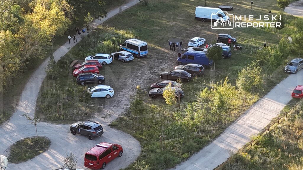 Grupa ludzi w garniturach rozmawia w pobliżu zaparkowanych samochodów na łące otoczonej drzewami.