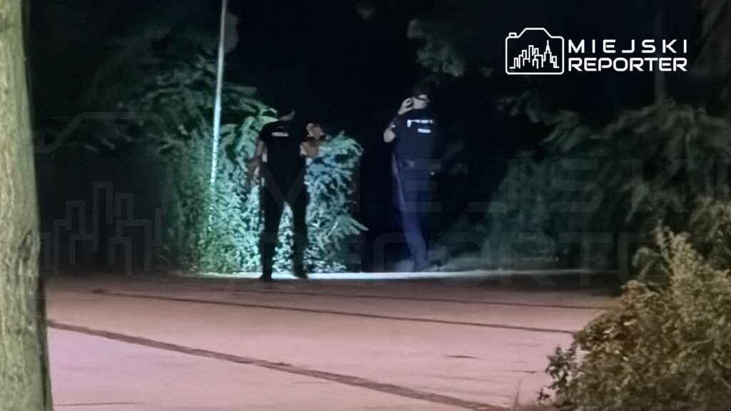 Dwóch mężczyzn w ciemnych ubraniach rozmawia w oświetlonym latarnią miejscu, otoczonym gęstą roślinnością.