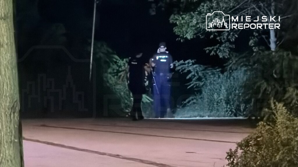 Dwóch policjantów prowadzi rozmowę w ciemnym, zalesionym terenie, oświetlonym przez latarki.