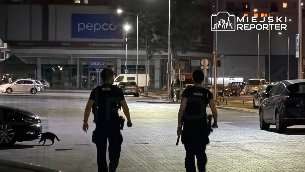 Dwóch policjantów patroluje oświetlony parking przed sklepem Pepco w nocy, obok przechodzi czarny kot.