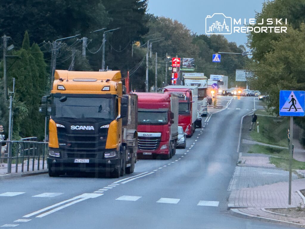 Rząd ciężarówek, w tym żółta Scania i czerwona DAF, stoi w korku na drodze w otoczeniu drzew i latarni.