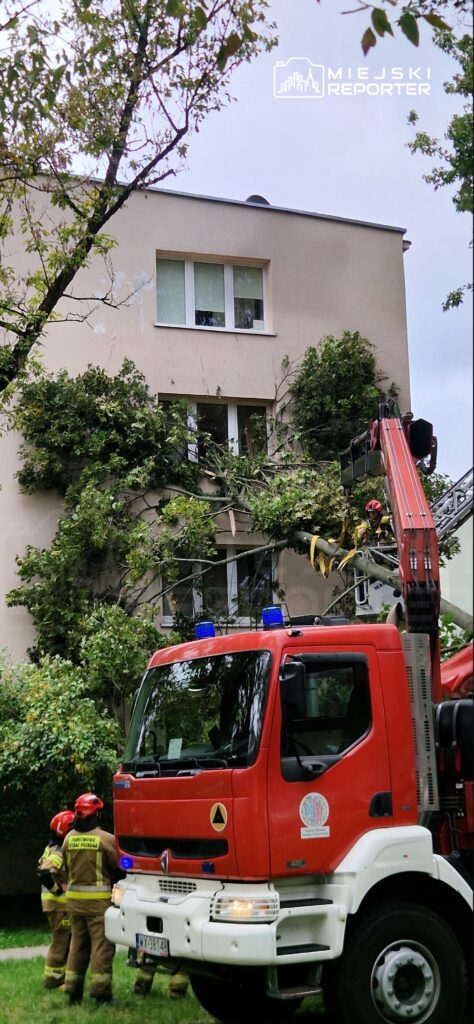 Strażacy w hełmach i mundurach rozmawiają obok wozu strażackiego, podczas usuwania gałęzi z budynku.