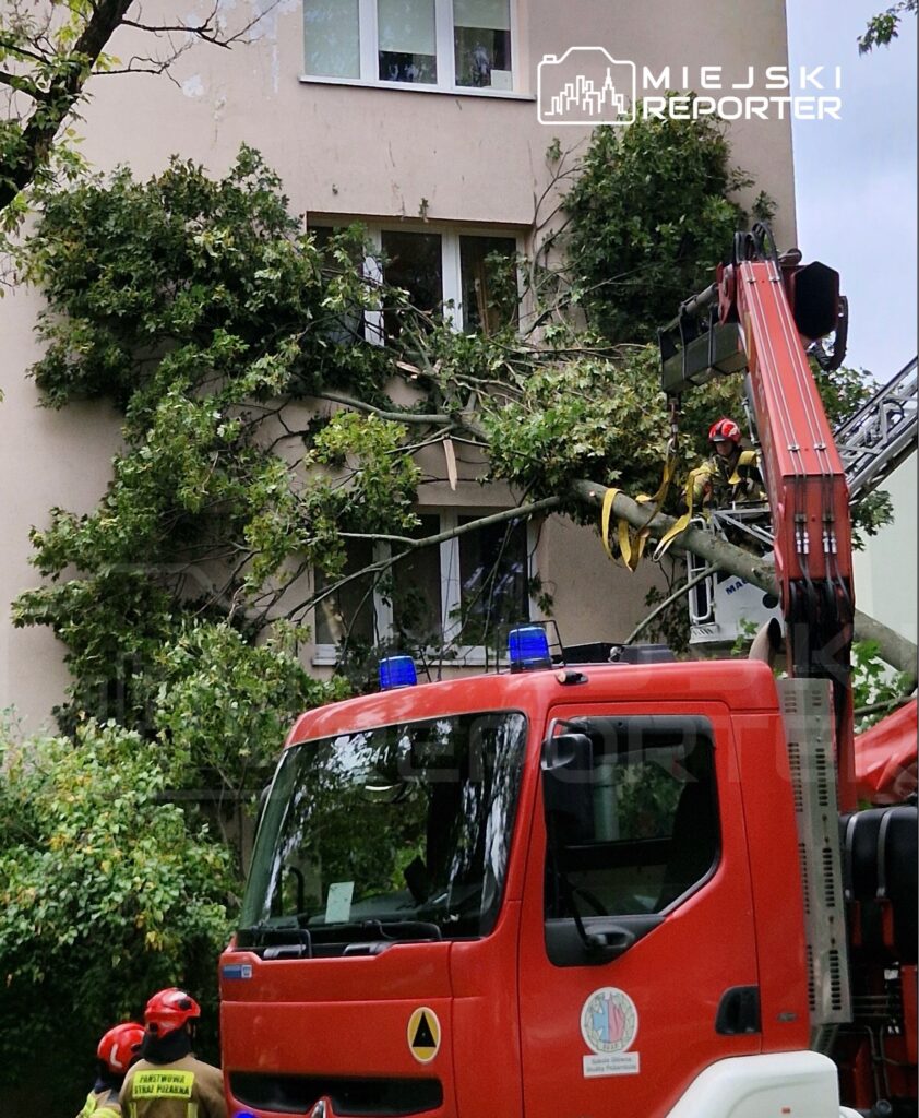 Strażacy usuwają gałęzie drzewa, które spadło na budynek, przy użyciu podnośnika strażackiego.