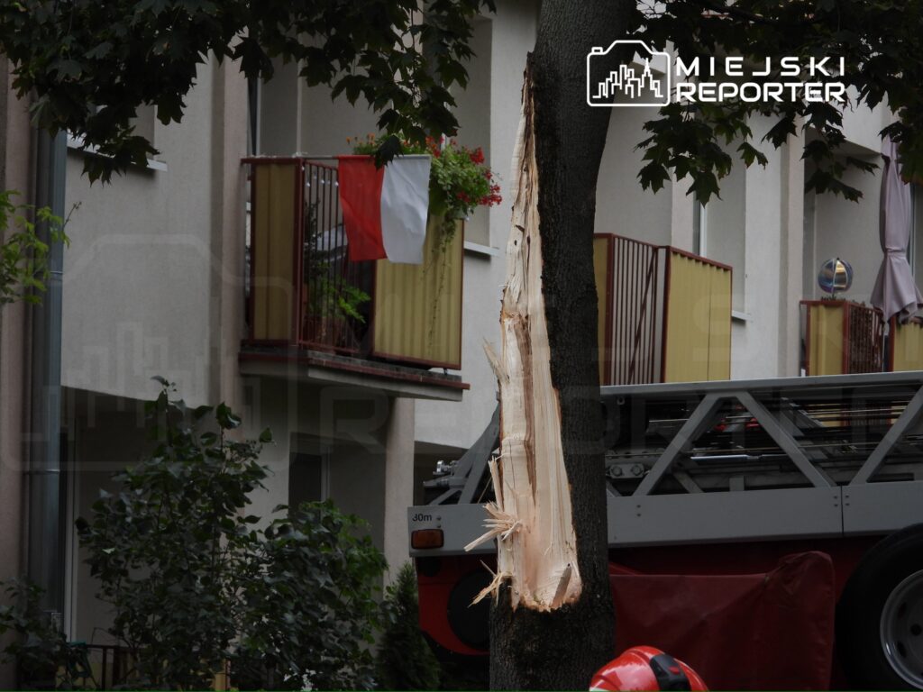 Uszkodzony pień drzewa z odłamanym kawałkiem kory, w tle widoczny balkon z flagą Polski i wóz strażacki.
