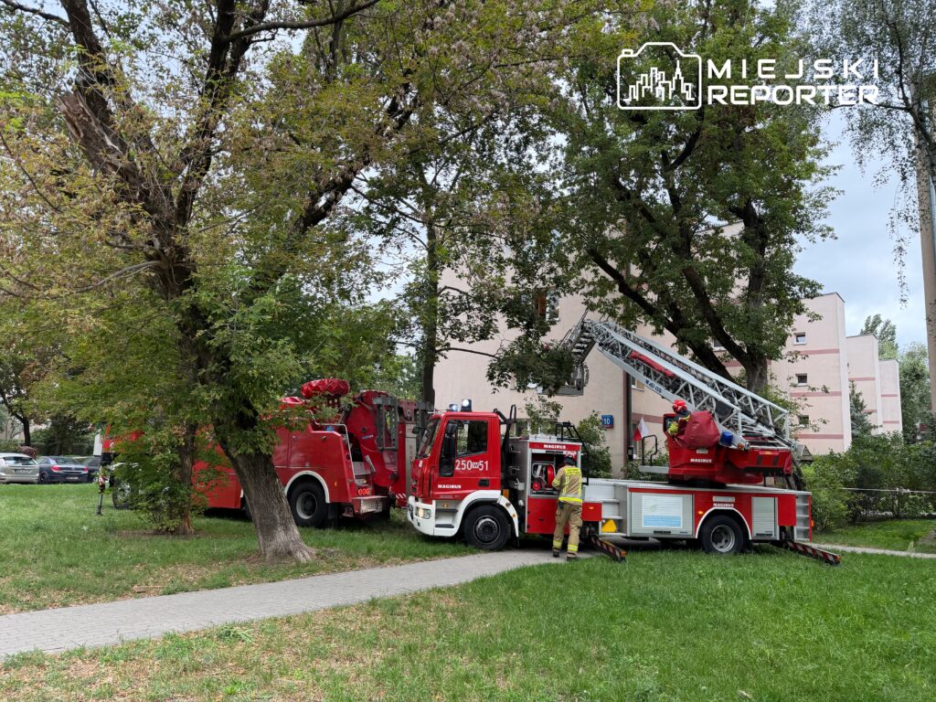 Strażacy w hełmach pracują przy wozie strażackim z drabiną, obok rosnącego drzewa w miejskim parku.