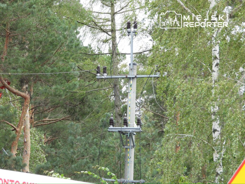 Słup energetyczny z izolatorami umieszczony wśród drzew w lesie, z widocznymi przewodami elektrycznymi.