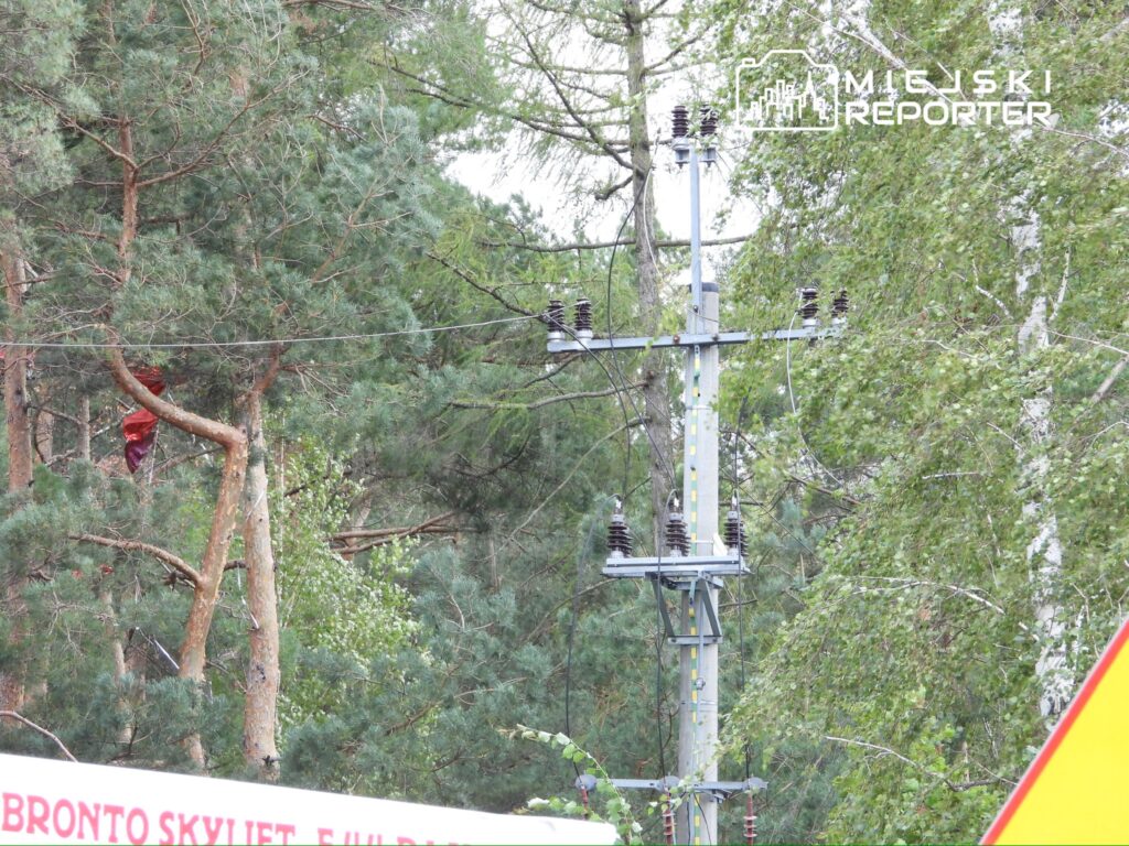 Czerwony materiał zawieszony na gałęzi drzewa obok słupa elektrycznego w lesie.