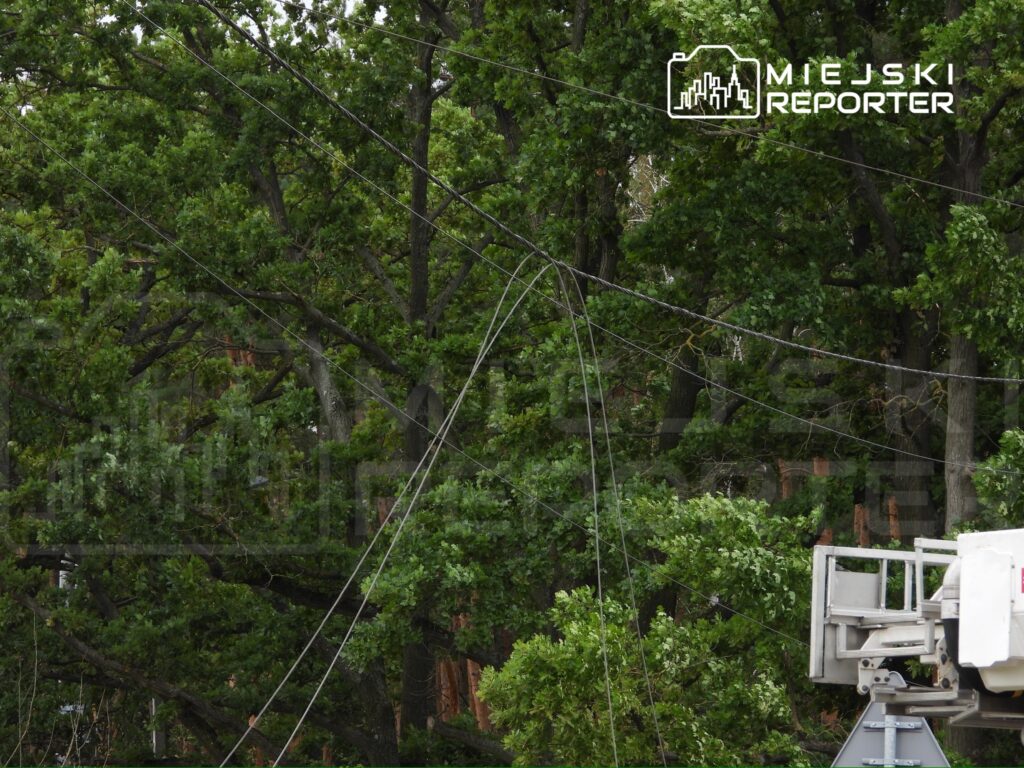 Wysokie drzewa z gęstymi liśćmi otaczają linie energetyczne oraz podnośnik hydrauliczny.