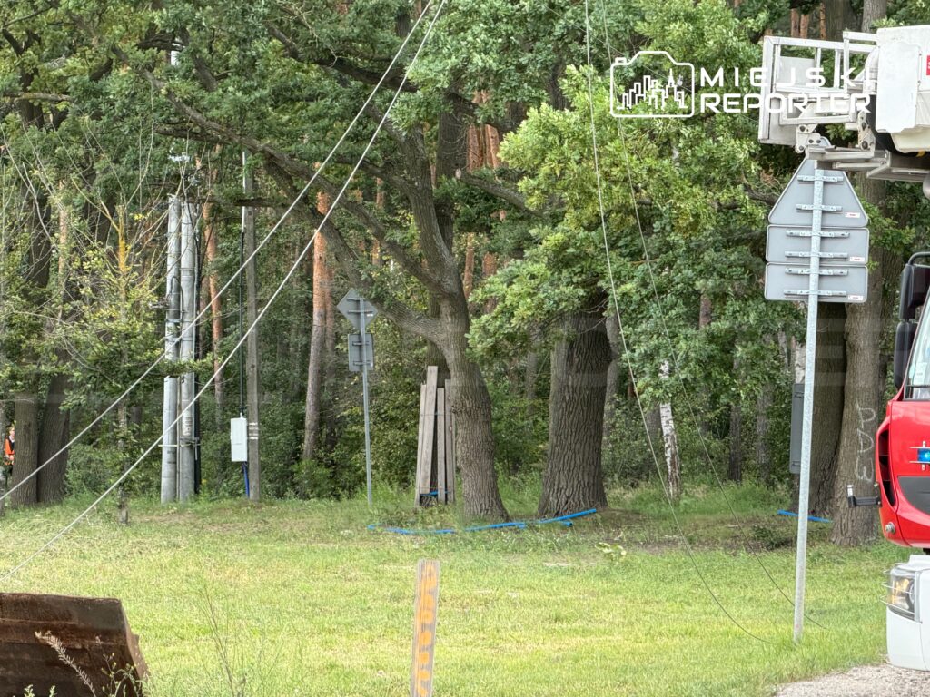 Pracownik w kamizelce odblaskowej stoi obok słupów energetycznych w lesistym otoczeniu. W tle widoczne znaki drogowe.