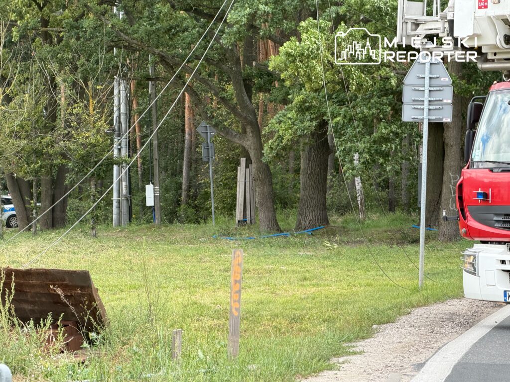 Przydrożny dźwig podnosi linie energetyczne w otoczeniu drzew i znaków drogowych na trawiastej łące.
