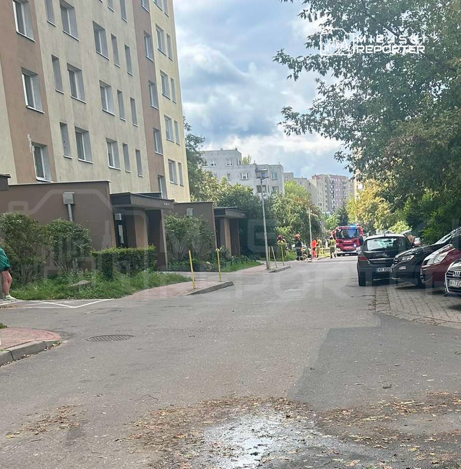 Grupa strażaków przygotowuje sprzęt obok wozu strażackiego na osiedlowej ulicy, w tle bloki mieszkalne.