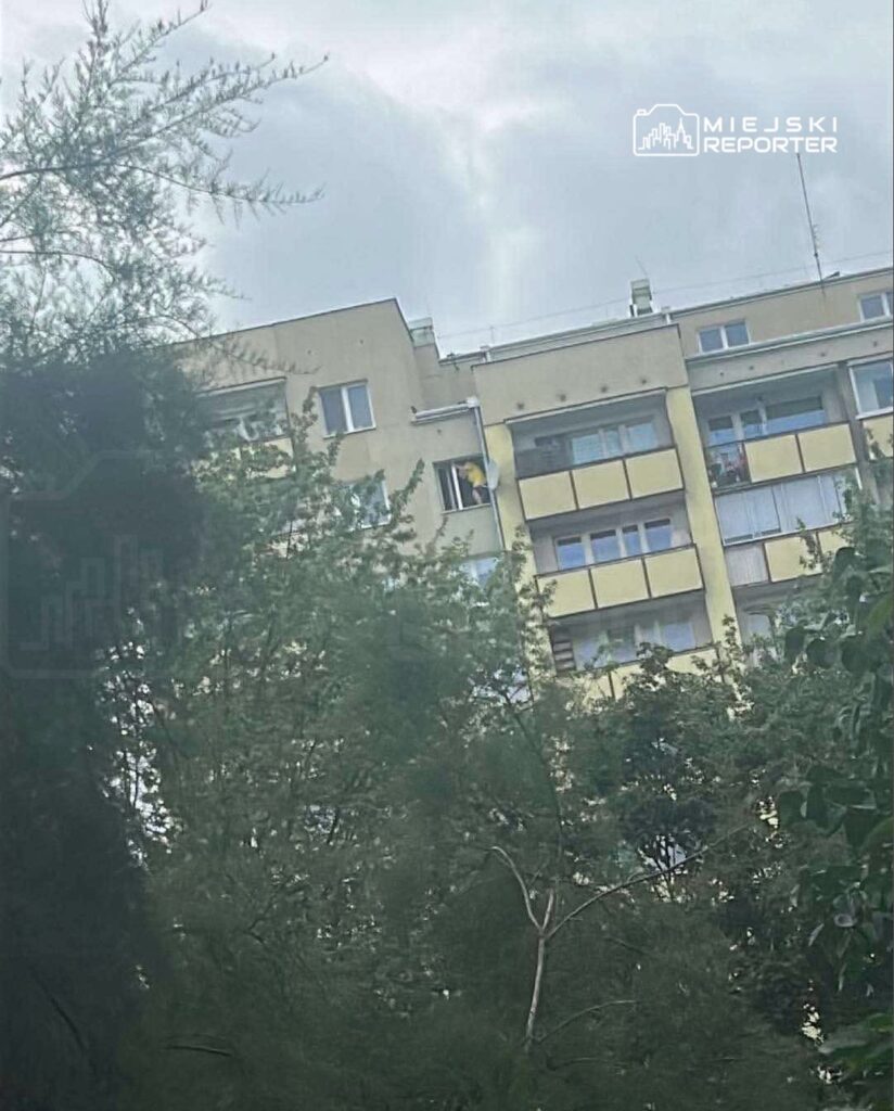 Mężczyzna w oknie bloku mieszkalnego trzyma się za parapet, otoczony zielenią drzew.