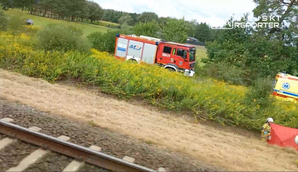 Czerwony wóz strażacki i karetka stoją wśród wysokiej zielonej trawy i żółtych kwiatów przy torach kolejowych.