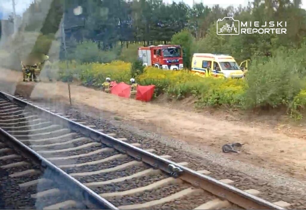 Grupa strażaków pracuje przy torach kolejowych, obok znajdują się pojazdy ratunkowe w otoczeniu zieleni.