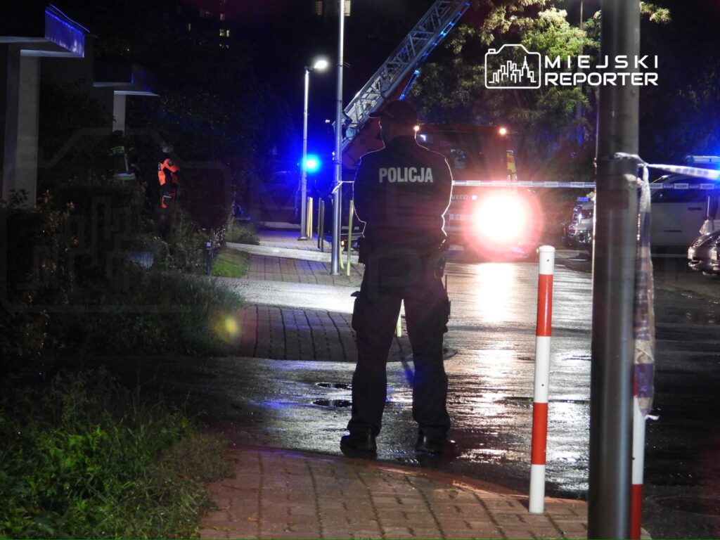 Policjant w mundurze obserwujący teren podświetlony przez sygnały świetlne pojazdów służb ratunkowych.