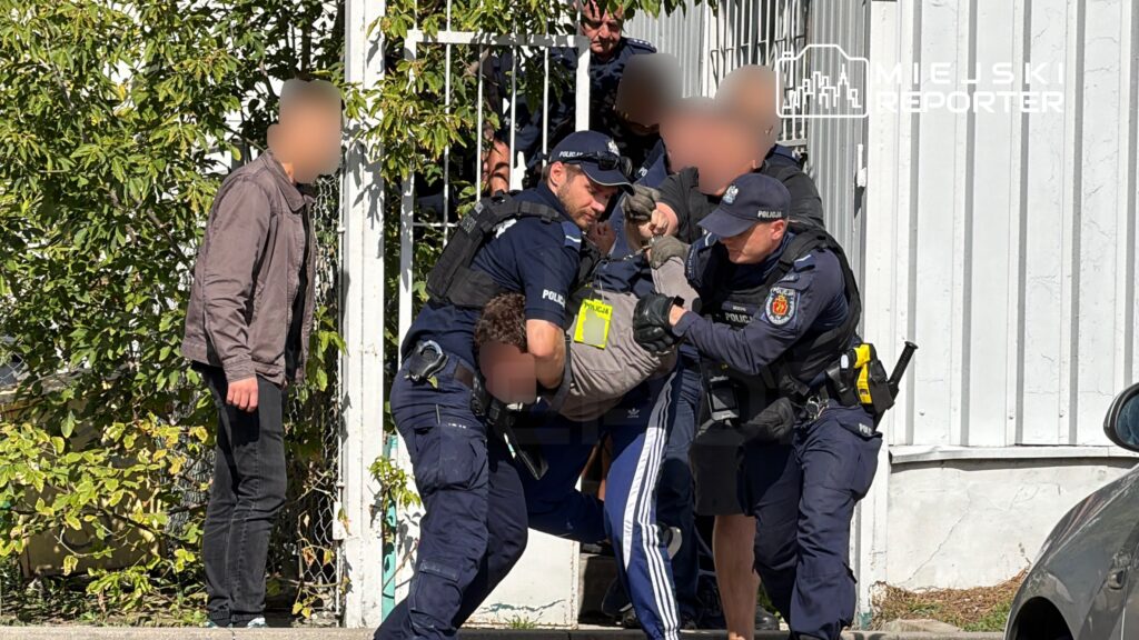 Policjanci w mundurach zatrzymują mężczyznę, trzymając go za ręce i nogi, w tle widoczne zielone krzewy i ogrodzenie.