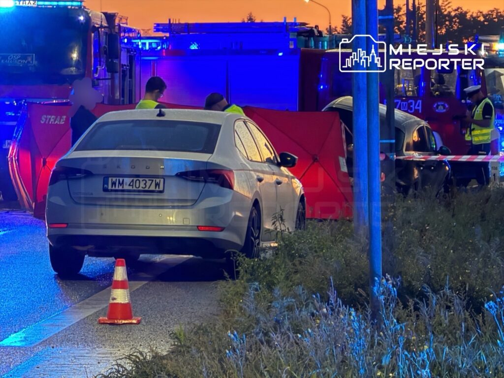 Na drodze stoi srebrny samochód osobowy, obok pracują ratownicy w kamizelkach odblaskowych, w tle widać woz strażacki.