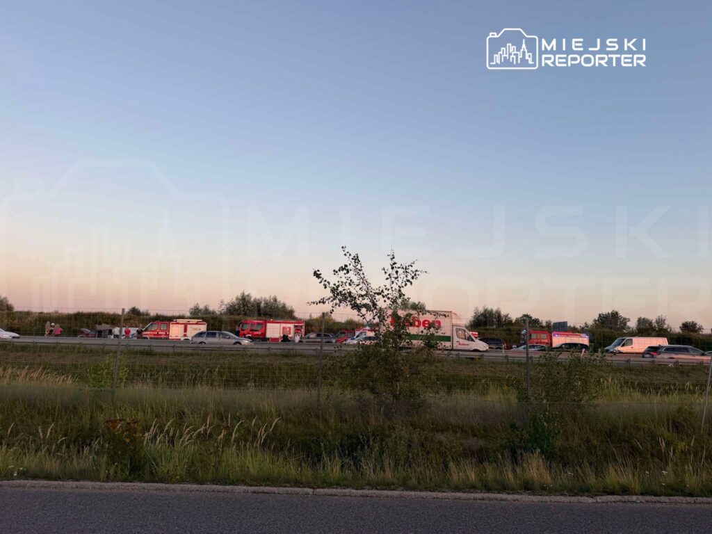 Na poboczu drogi stoją karetki i pojazdy ratunkowe, obok widać zablokowany ruch samochodowy.