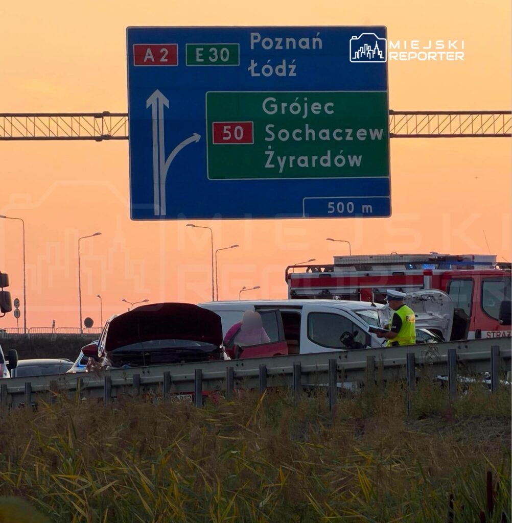 W tle widoczny znak drogowy kierujący do Poznania i Łodzi, a na pierwszym planie policyjny funkcjonariusz bada uszkodzone pojazdy.