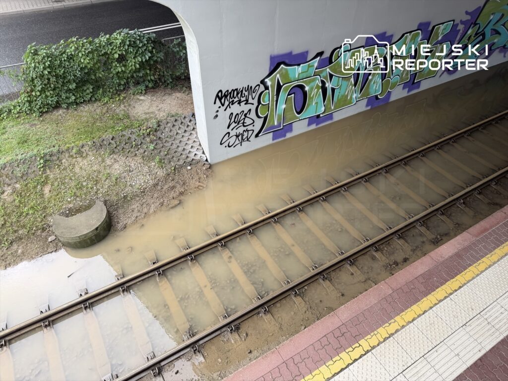 Zaniedbane tory kolejowe wypełnione wodą, obok graffiti na ścianie i zarośnięta przestrzeń zieleni.