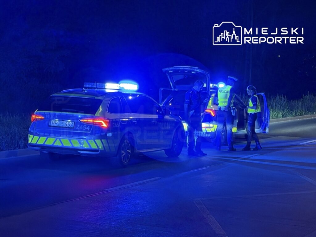 Policjanci przeprowadzają czynności dochodzeniowe obok radiowozu z włączonymi sygnałami świetlnymi na drodze.