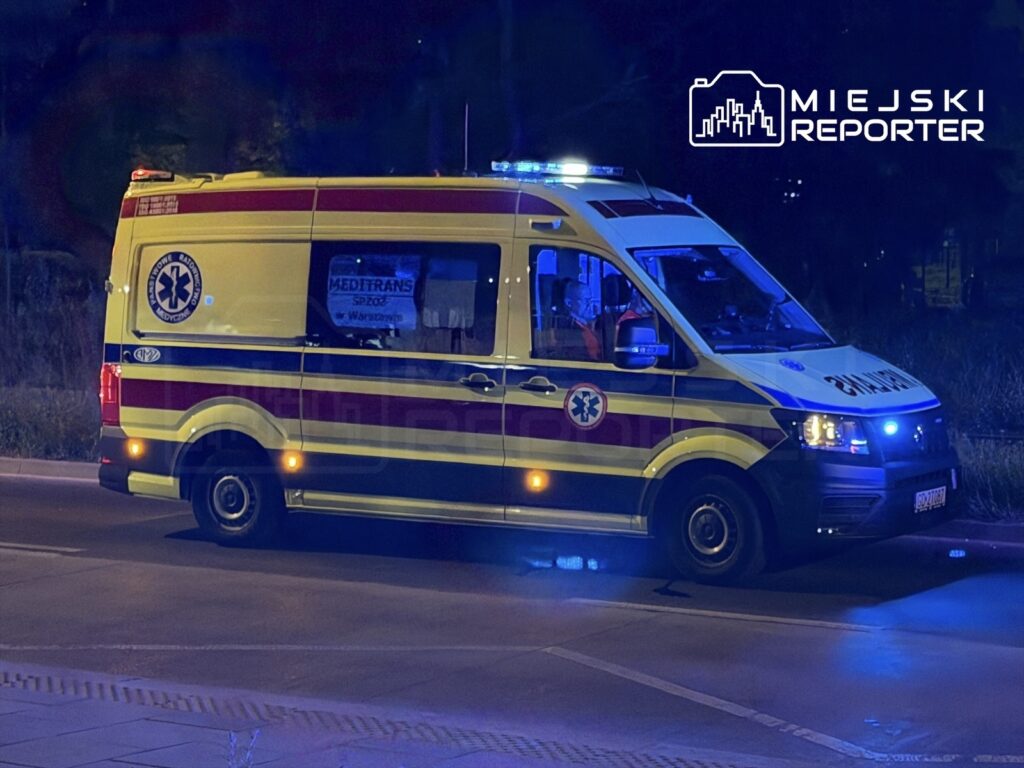 Ambulans z włączonymi sygnałami świetlnymi zatrzymany na ulicy w nocy, obok widać zarośla.