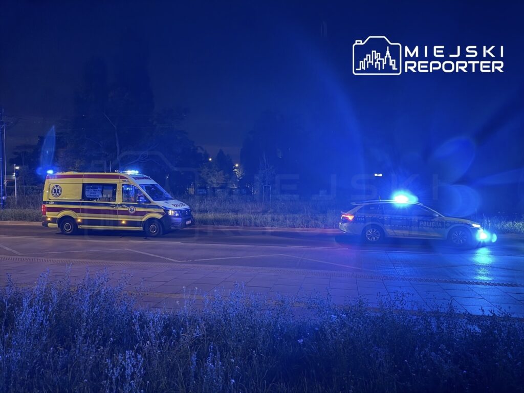 Karetka i radiowóz policyjny z włączonymi sygnałami świetlnymi na nocnej drodze, w otoczeniu trawy.