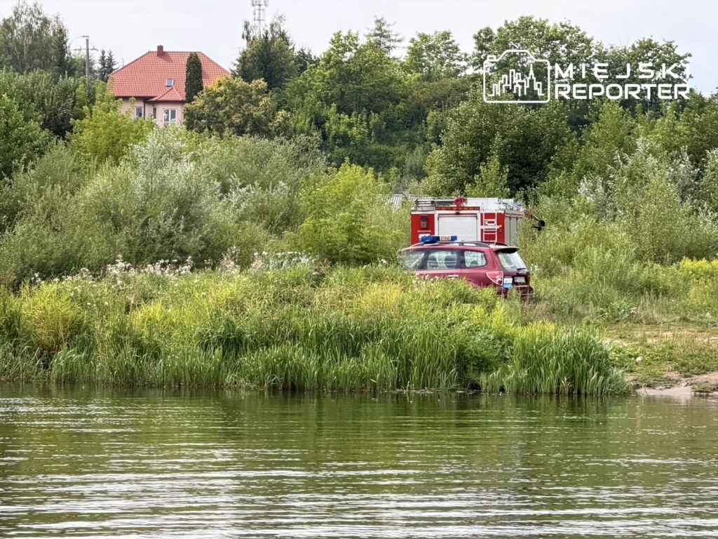 Czerwony samochód strażacki zaparkowany wśród zieleni, obok wody, z widoczną roślinnością w tle.