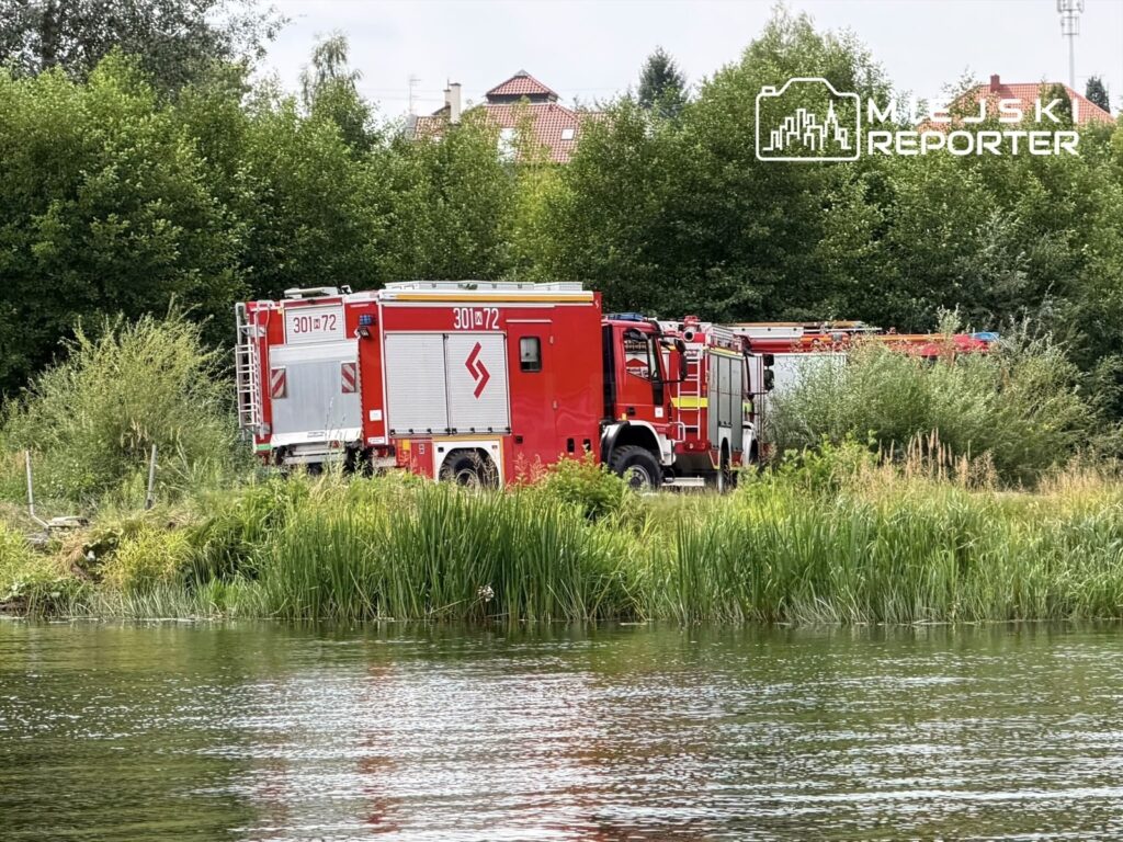 Czerwone samochody strażackie zaparkowane wśród zieleni nad brzegiem rzeki, w tle wznoszą się drzewa i budynki.