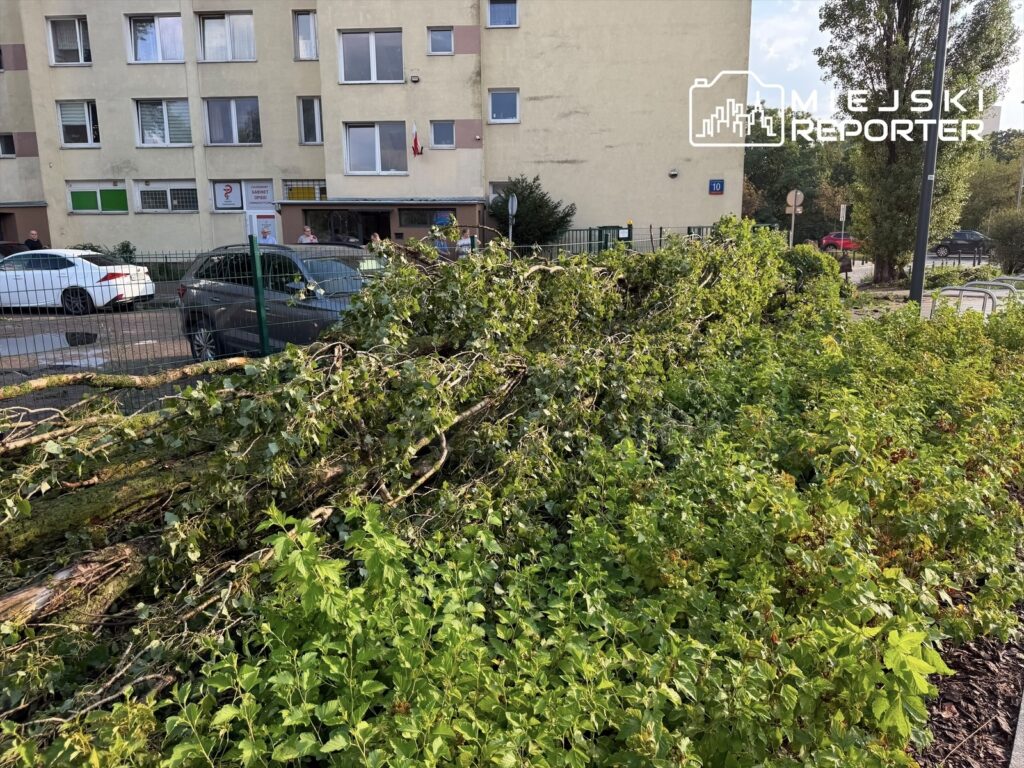 Odpadające gałęzie drzew leżą na zielonej przestrzeni przed budynkiem mieszkalnym. W tle widoczne zaparkowane samochody.
