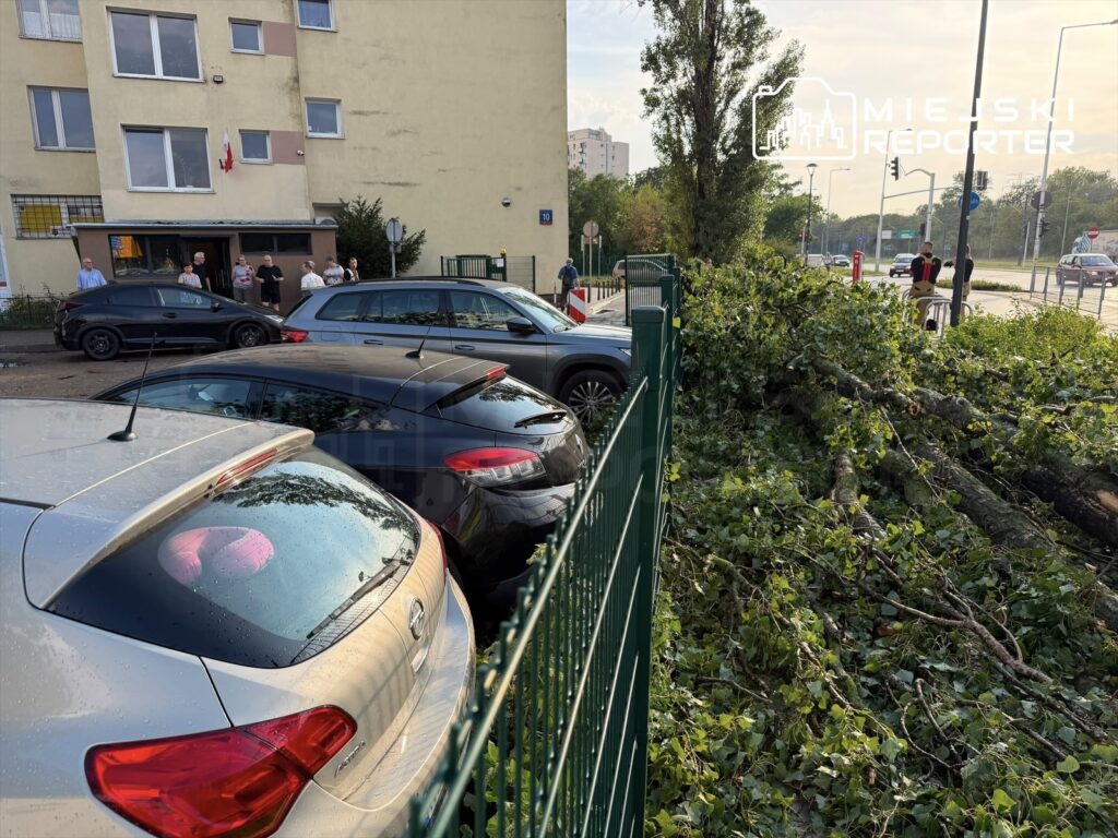 Grupa osób stoi przed budynkiem, a w tle widać przewrócone drzewo leżące na zaparkowanych samochodach.