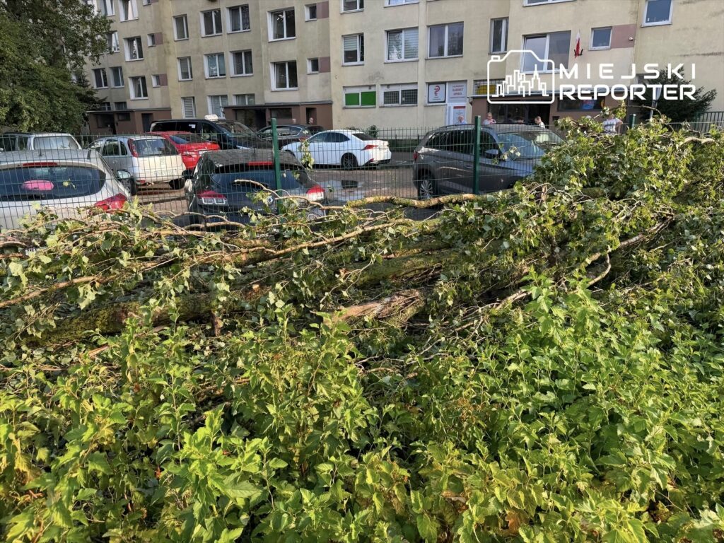 Złamane gałęzie leżą na trawie w pobliżu zaparkowanych samochodów, obok bloków mieszkalnych.