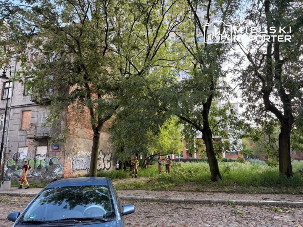 Grupa strażaków w mundurach usuwa powalone gałęzie w otoczeniu zniszczonych drzew po burzy.