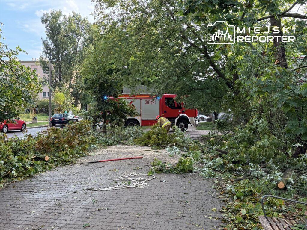 Strażacy usuwają powalone gałęzie na chodniku po burzy, obok stoi wóz strażacki.