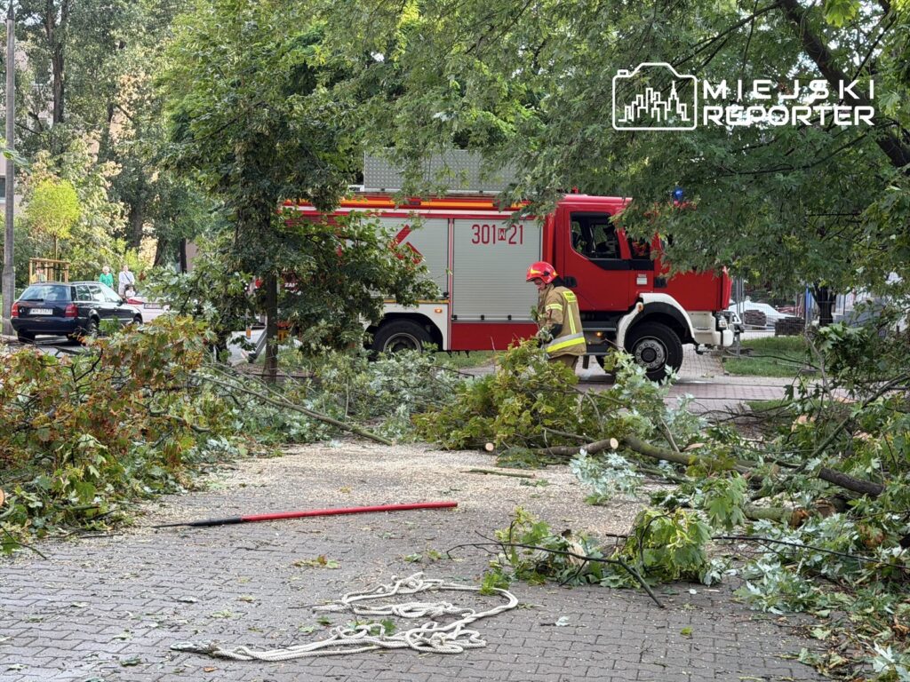 Strażak w kasku i mundurze usuwa powalone gałęzie po burzy, obok widać wóz strażacki i zniszczoną nawierzchnię.