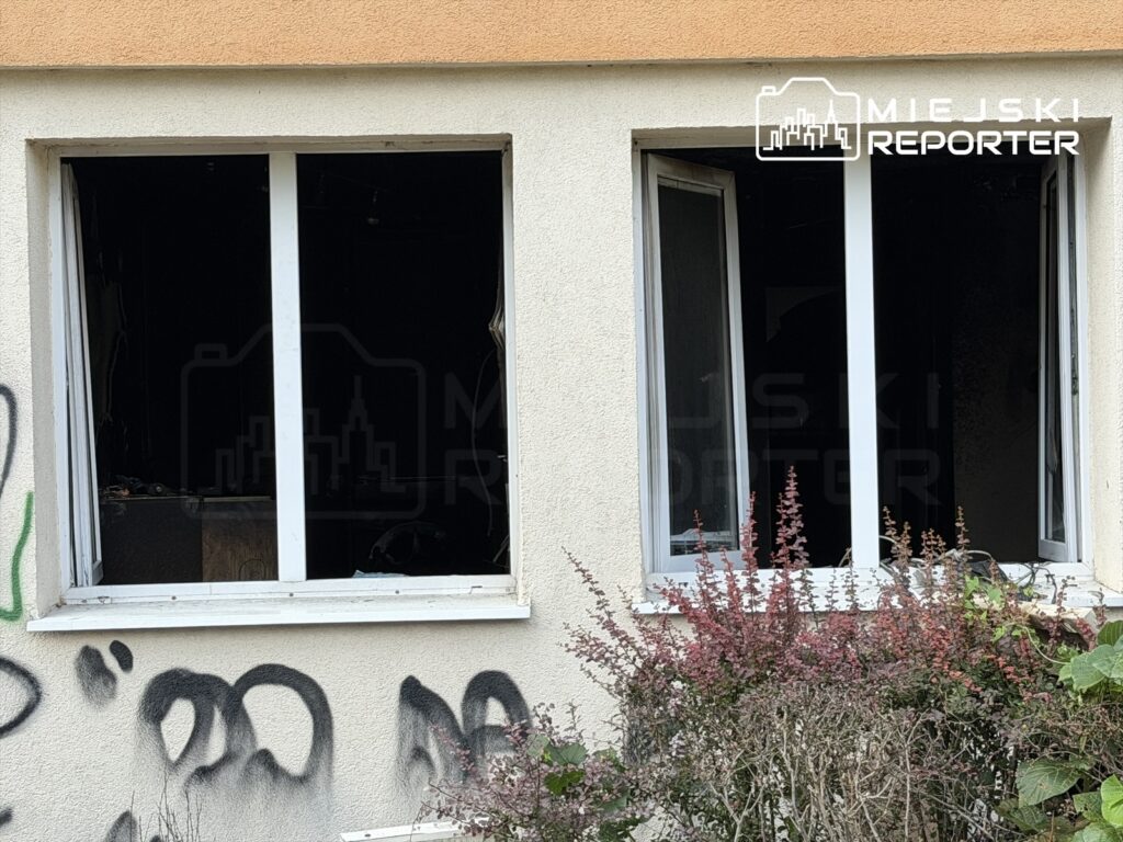 Zniszczone okna mieszkania z ciemnym wnętrzem, obok rosnące krzewy i graffiti na ścianie.