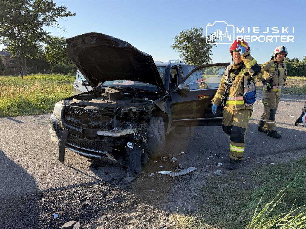Strażacy w mundurach przeszukują uszkodzony samochód z otwartą maską na drodze, w tle widoczna zieleń.