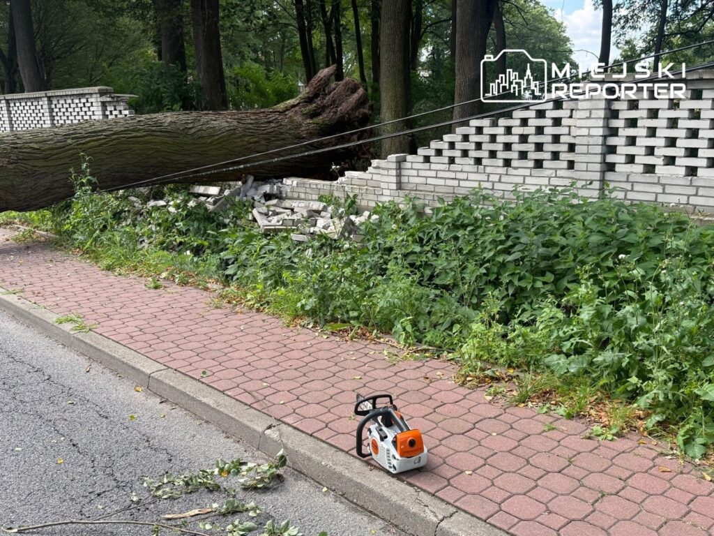 Na chodniku leży powalony pień drzewa, obok widoczna uszkodzona ściana z cegły i piła łańcuchowa.