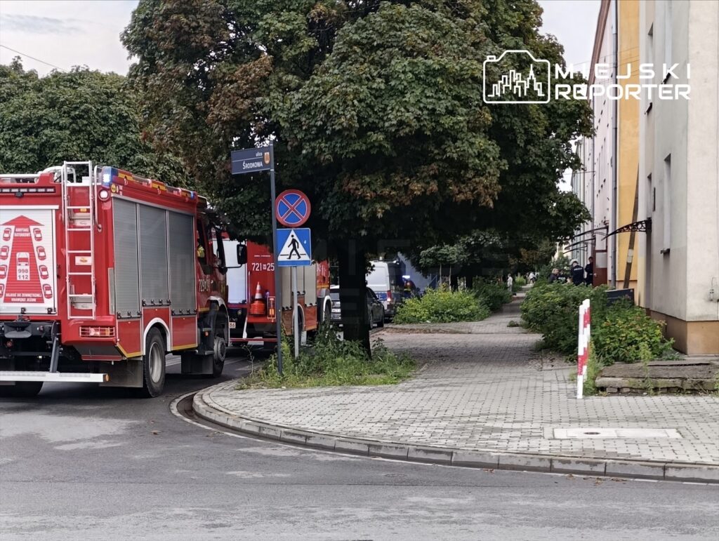 Czerwony wóz strażacki zatrzymany przy ulicy, obok znaku zakazu parkowania, w pobliżu budynków mieszkalnych.