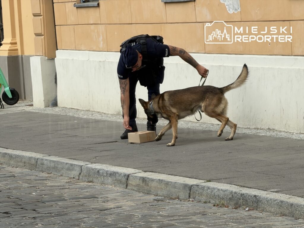 Policjant z psem patrolowym sprawdza podejrzaną paczkę na chodniku w miejskim otoczeniu.